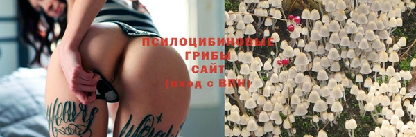 стафф Покачи